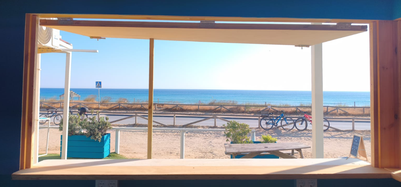 Ambiente del Zoco Palmar al atardecer